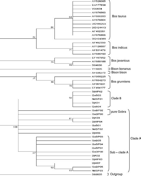 taxonomy - Why are bovines different genera if they can interbreed? - Biology Stack Exchange