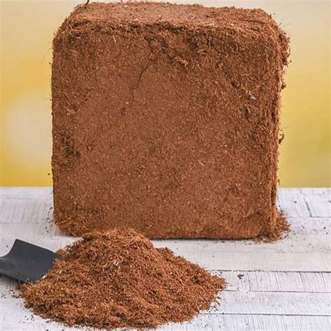 Plantsveda Organic Cocopeat Block for All Seeds & Plants | Expands Upto ...