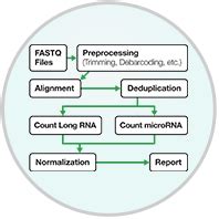 SeqSense NGS Data Analysis Software | Bio-Rad Laboratories