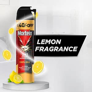 Mortein 2 in 1 Mosquito and Cockroach Killer Spray - 600ml | 100% Kill ...