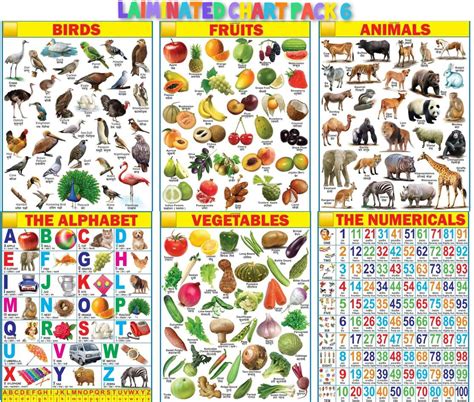 JANIL English Chart for Kids 45x65cm Mega Size ( 6 Charts ) - Laminated ...