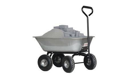 BIGAPPLE 300 Kg Metal Dump Cart Trolley for Material Handling | 1-Year ...