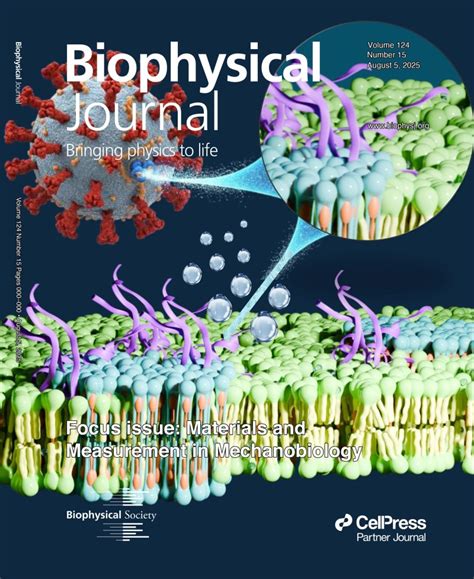 Prof. Jaydeep Basu – IISc Bangalore