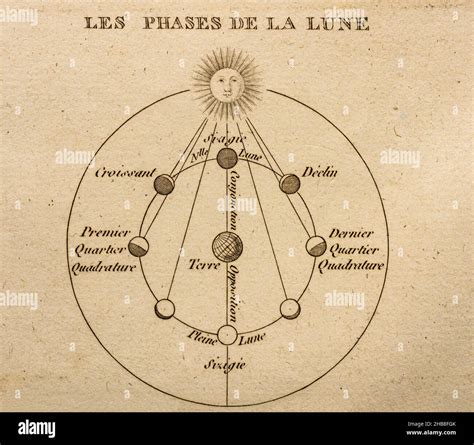 Moon Phase Diagram