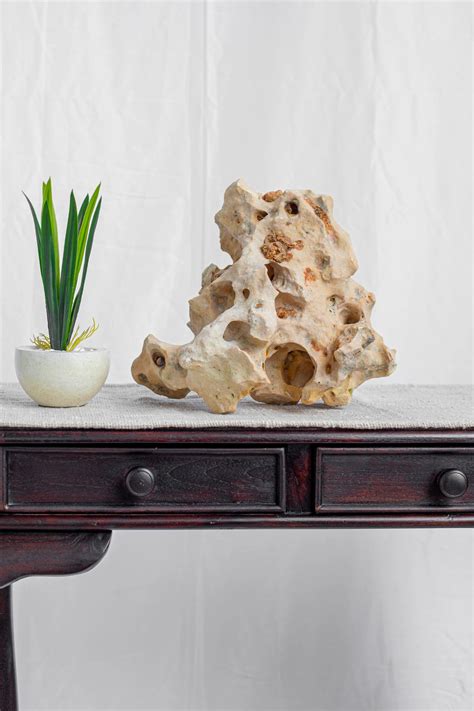 Natural Sea Rock Table Decor - Small - Style 01 – Decorcorner