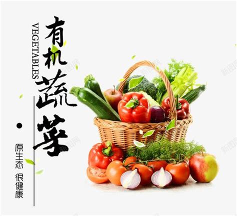 有机蔬菜png图片免费下载-素材7QiWVqjjW-新图网