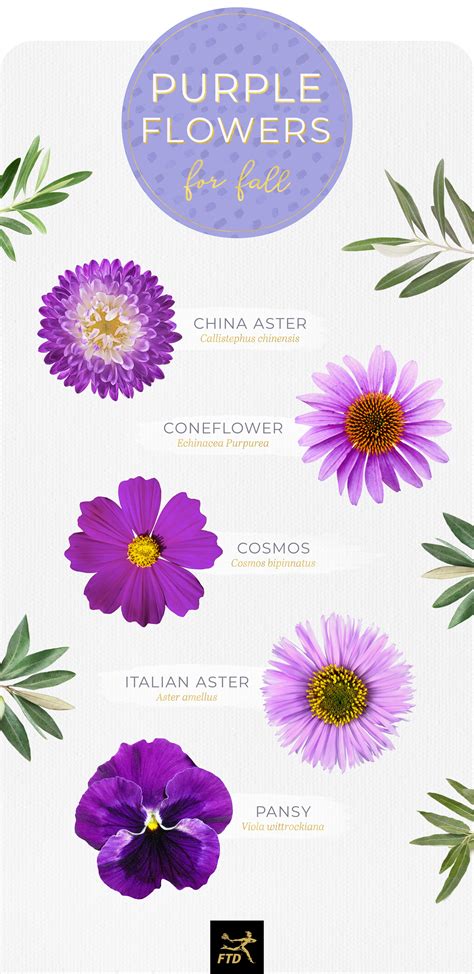 Types Of Purple Flowers