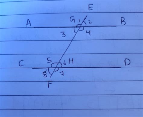 Draw two parellal lines AB and CD. let EF is the transversal ...