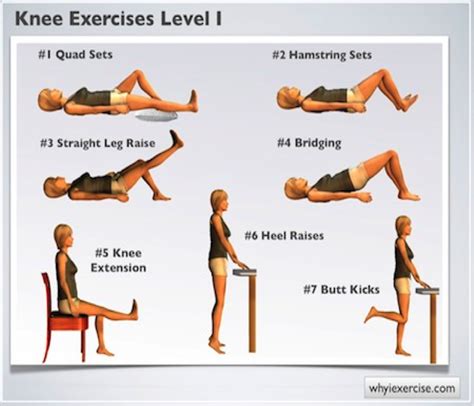 Knee Physical Therapy Exercises
