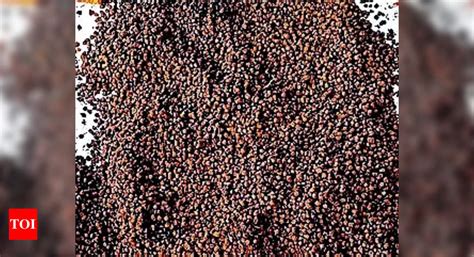Nutrition: Leftovers Get A Compost Pellets Makeover | Visakhapatnam ...