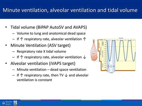 PPT - Advanced PAP Titrations PowerPoint Presentation, free download ...