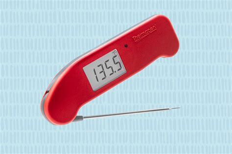 The 9 Best Meat Thermometers of 2023