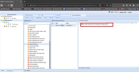 Beef Tutorial 的图像结果