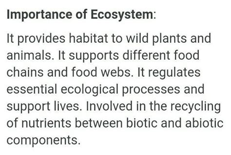 what is the importance of ecosystem - Brainly.in