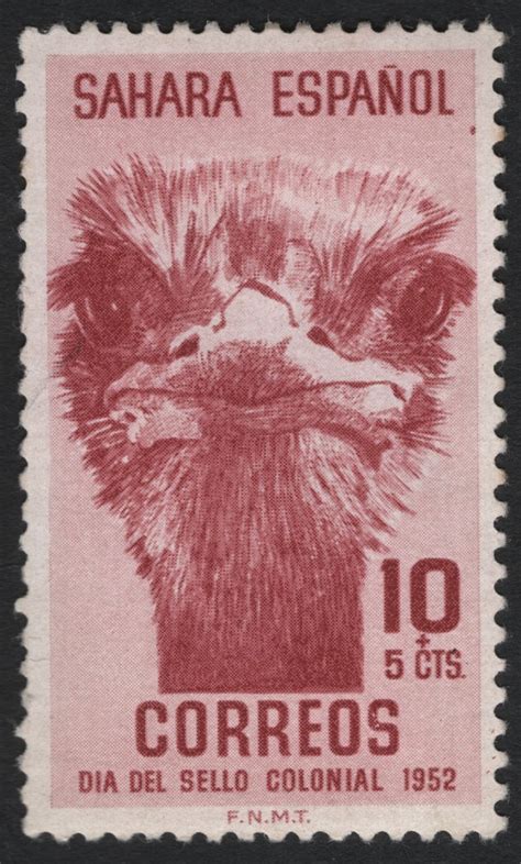 SCG6759 - Spanish Sahara – Colonial Stamp Day 1952 (Ostrich Head Desig ...