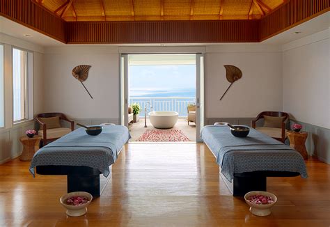 Spa Control Panel Overlay 的图像结果