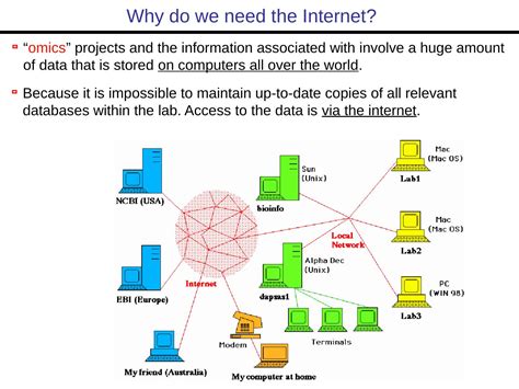 Bioinformatics Tutorial 的图像结果