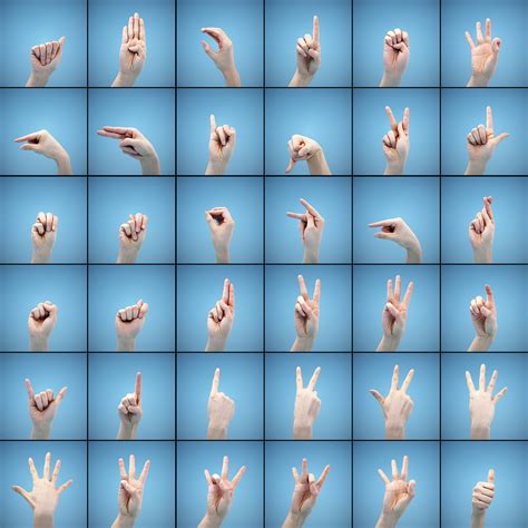 American Hand Sign Language 的图像结果