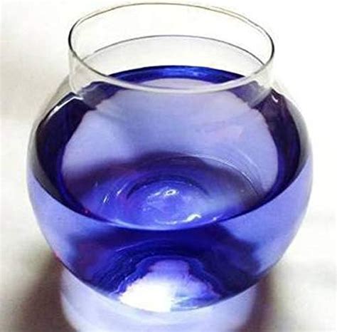 CRAFTVERRE Transparent 2l Glass Fish Bowl : Amazon.in: Pet Supplies