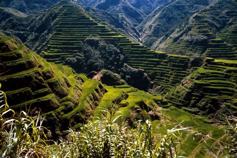 Asia Cool Places 的图像结果