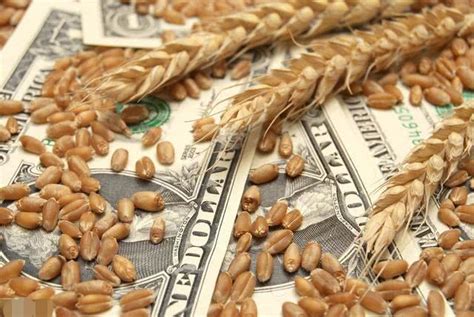 今日小麦价格多少钱一斤？2021年4月15日小麦最新行情价格走势_腾讯新闻