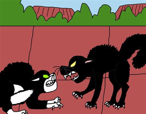 Image result for Knockout Cat Fighting Scripts