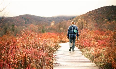 Asheville Vacation Rentals | House and Cabin Rentals | Airbnb