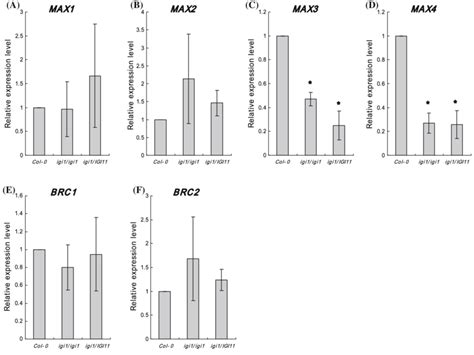 Real-Time PCR Graph 的图像结果