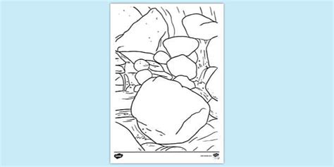 Elsach River Plants in Caves Colouring Sheet (teacher made)