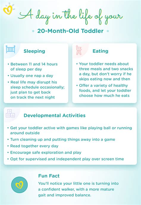 20-Month-Old: Development Milestones | Pampers