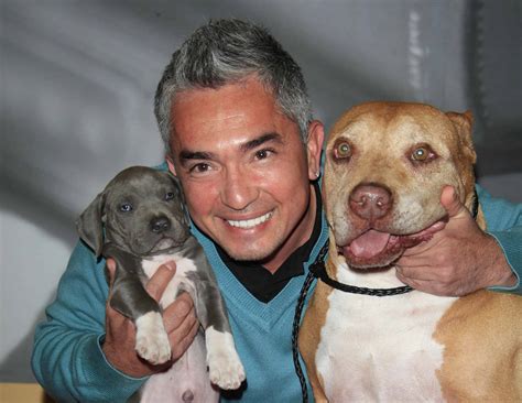 Cesar Milan Email