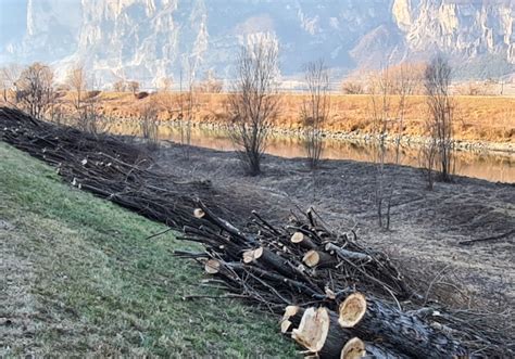 Pflegeplan Etsch heuer mit Neuheit - UnserTirol24