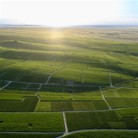 モエ・エ・シャンドン ブリュット アンペリアル