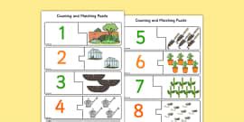 Shape Garden Counting Activity - KS1 - Maths (teacher made)