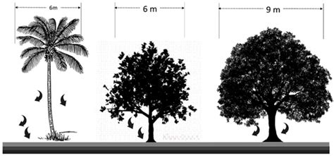 Outdoor Thermal Comfort Optimization through Vegetation ...