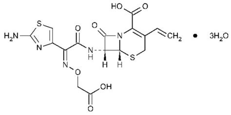 Buy Cefixime Trihydrate Powder at Best Price, Ahmedabad Supplier