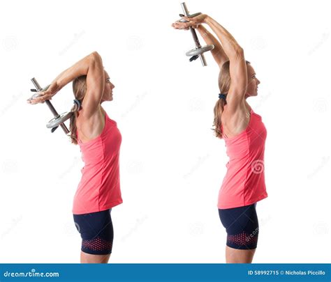 Triceps Extension stock image. Image of adult, athletic - 58992715