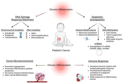 The Role of Chronic Inflammation in Pediatric Cancer