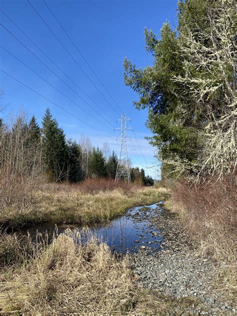 Nisqually State Park — Washington Trails Association