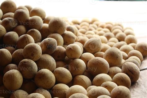 Duku fruit photo, is one of the endemic fruits of Southeast Asia spread across Indonesia ...
