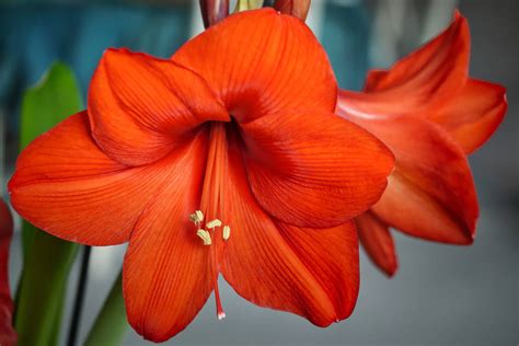 Los 40 Principales en Vivo - 101.7 MHz FM, Ciudad de México, México ...