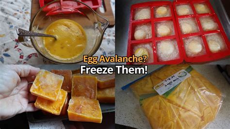 How Do You Freeze Pumpkin/ Cubed or Pureed.