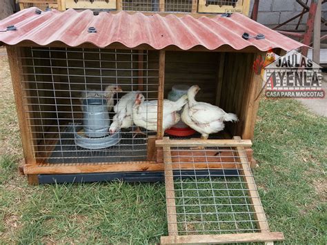 Corral De Pollos De Granja Industrial