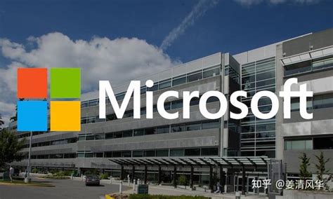 微软公司 的图像结果