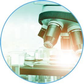 Image result for Binary Tree Viewer LifeWave