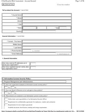 CyberSecurity Risk Assessment Form - Blank Fillable Template | Fill Out ...