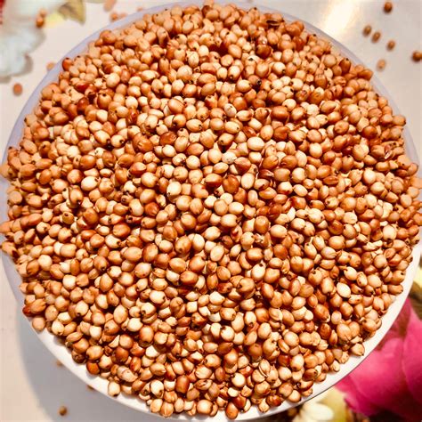 Red Sorghum Seeds-Lal Jowar-Yerra Jonnalu – Vintage Farmers
