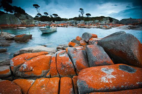 Guide to Bay of Fires - Discover Tasmania