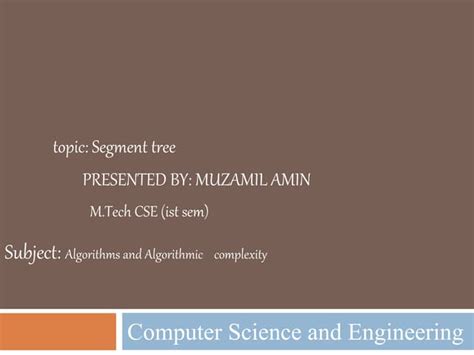 Segment Tree Problem 的图像结果