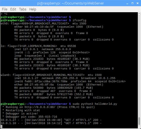 Python Raspberry Web Server 的图像结果